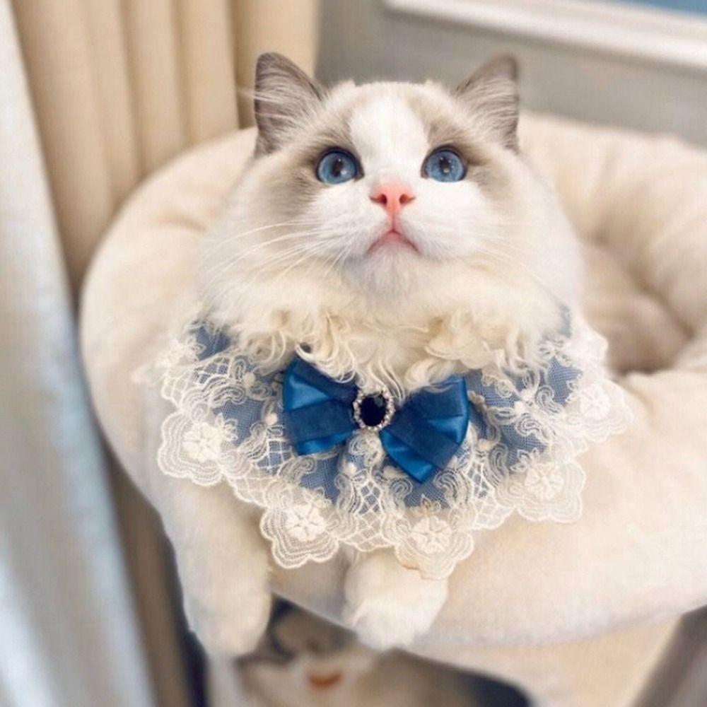 Fashion Dog saliva towel Cat Necklace Puppy String Bib Dog Neckerchief Lace Bowknot Pearl Collar