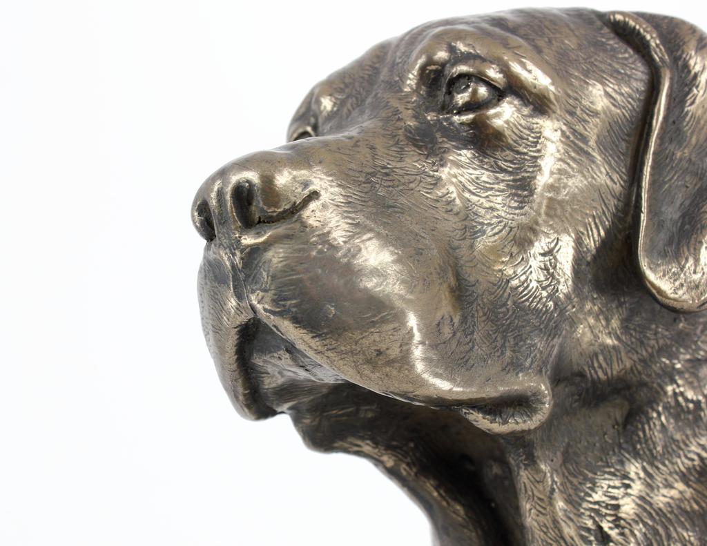Labrador Retriever - Dog Statue, Bust On Stone Base, Sculpture, Trophy for Dog Show by Art-Dog Brand