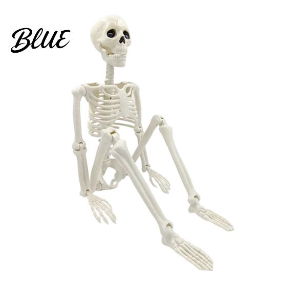 Simulation Bone Structure for Stage Setup Halloween Skeleton Decoration 3Ft Life Size Full Body Human Bone Realistic Posable Lifelike Decoration