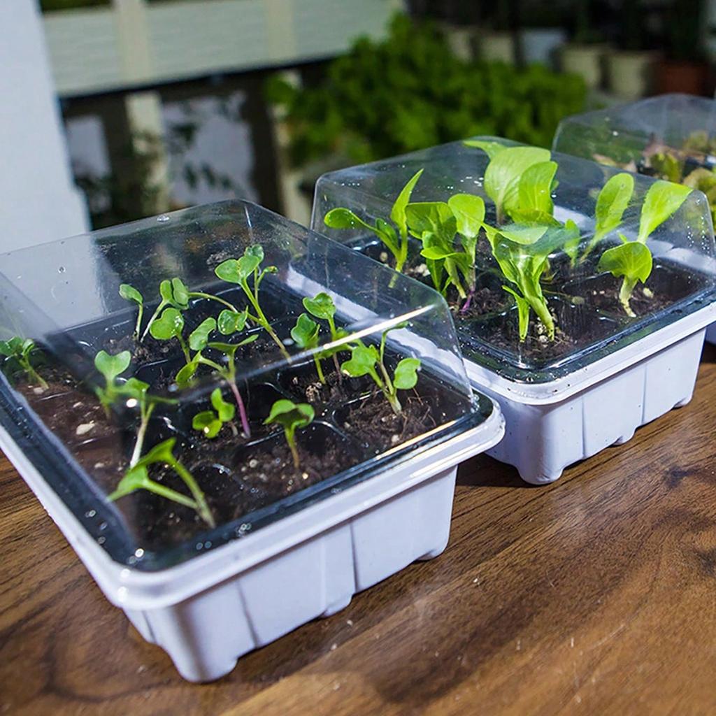 Zellschalen für Setzlinge mit Haube Gewächshaus Pflanzenkeimbox Anzuchttöpfe für Gartenbau und Landwirtschaft