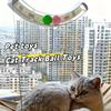 Wall-mounted interactive toy with rolling ball plastic self-play no battery required random colors for cats
