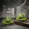 Sac à main Terrarium en Verre Mousse Micro Paysage Contenant Bureau Plante Verte Petit Vase Décoration pour Cadeau Maison Bureau