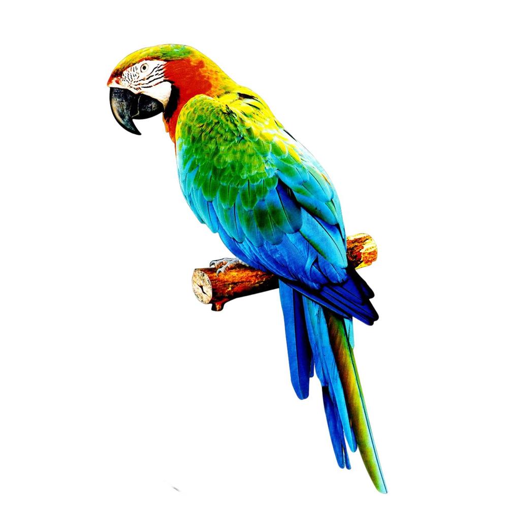 Bunte Künstliche Papageien Figuren Miniatur Anhänger Hängendes Vogel Modell