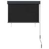 Vidaxl External Roller Blind, 100X250 Cm, Anthracite