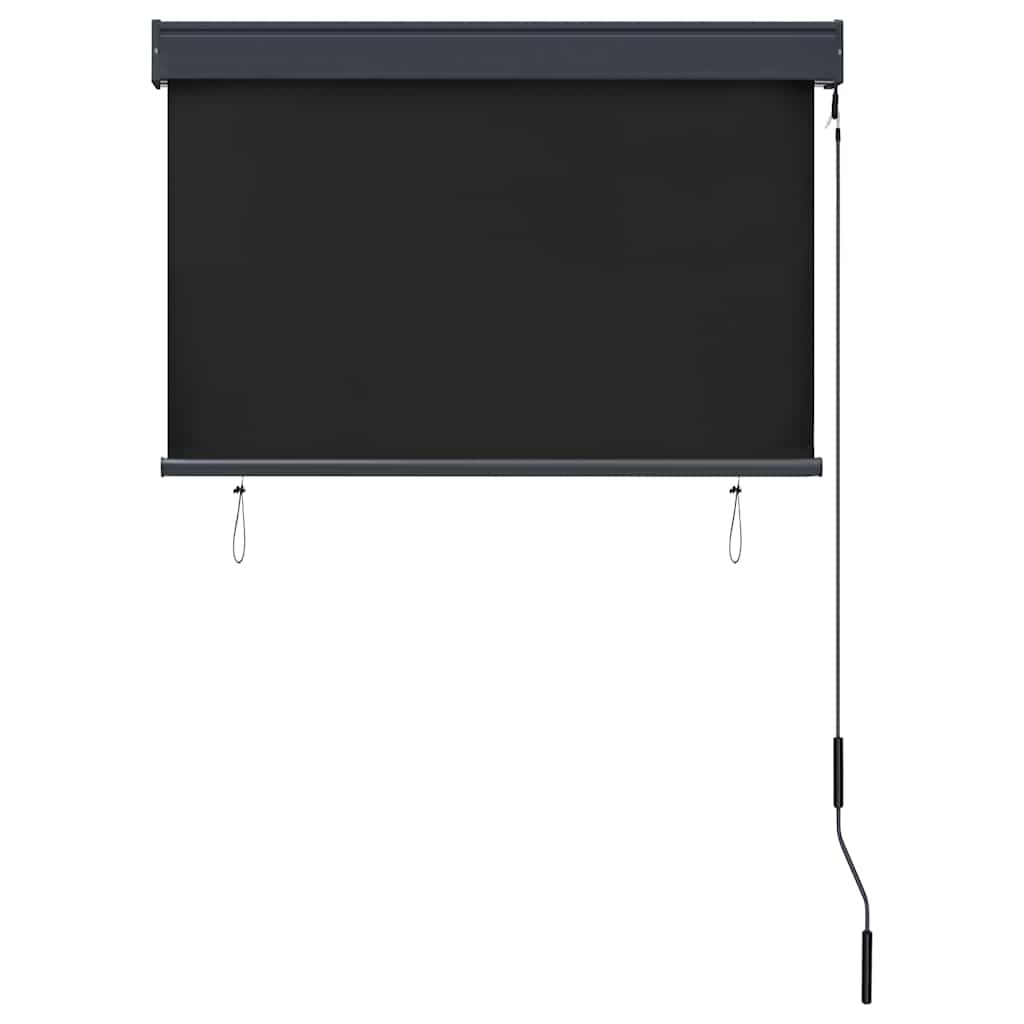 Vidaxl External Roller Blind, 100X250 Cm, Anthracite