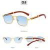 Fashionable Sunglasses Square Sunglasses Non-Polarized Fashion Accessory 