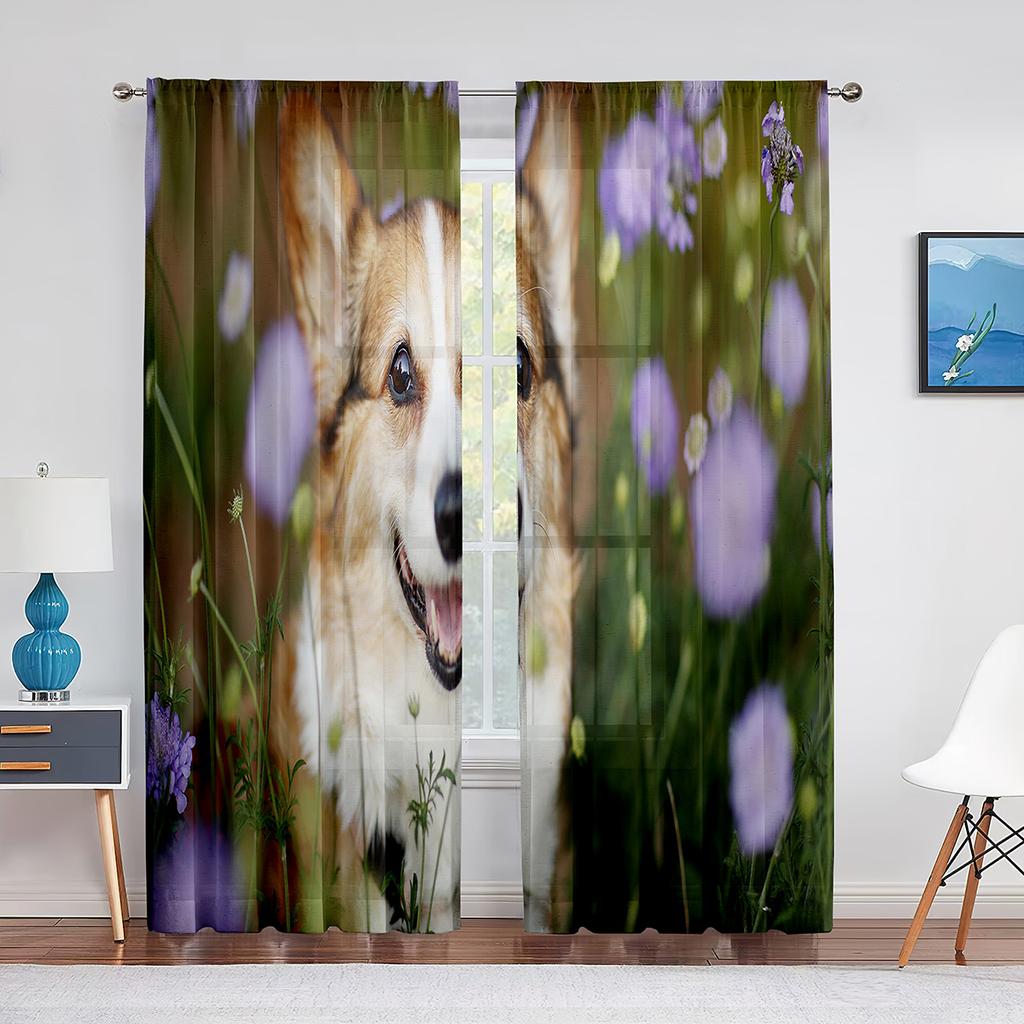 Corgi In The Flower Field Puppy Dog Sheer Curtains Window Treatment for Kitchen Living Room Bedroom Decor Modern Tulle Curtains
