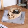 Creative Skull Glasses Holder Anti-slip Desktop Eyeglass Holder  Office/Home Ornaments