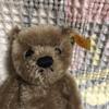 [USED] Steiff Teddy Bear 030147 Used Teddy Bear