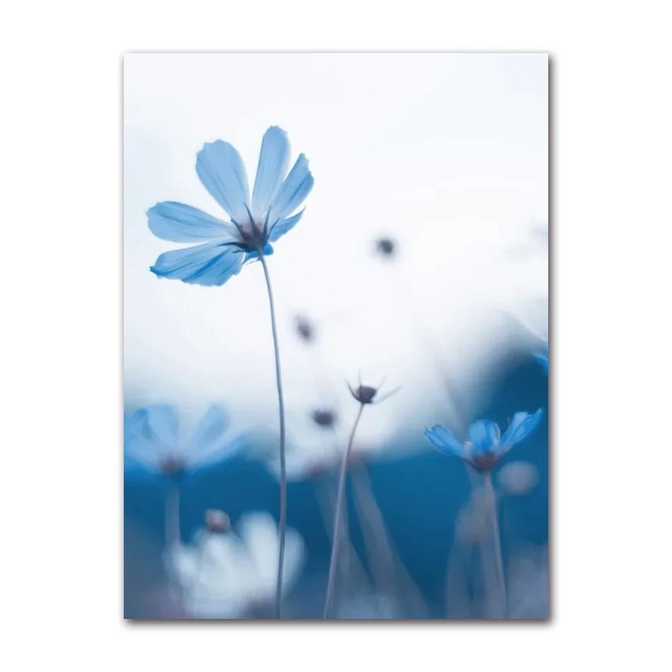 Wall Art Blue Tone Dandelion Peony Orchid Flower Oil Painting Spring Poster and Printmaking Living Room Home Decoration Pictures