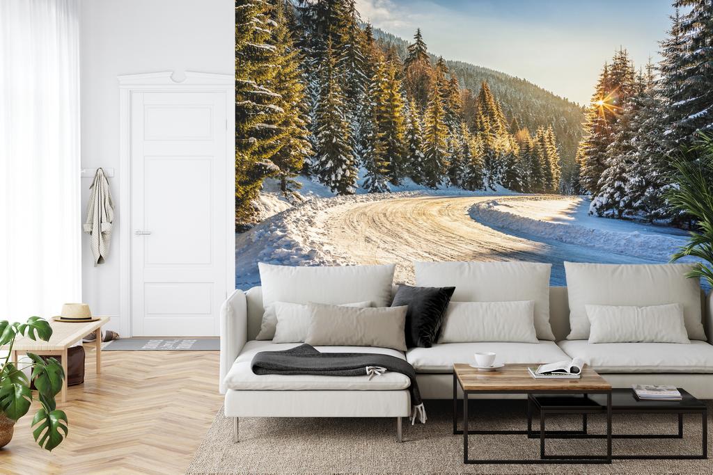 Photomural Winter Forest Smooth Vinyl 360x240