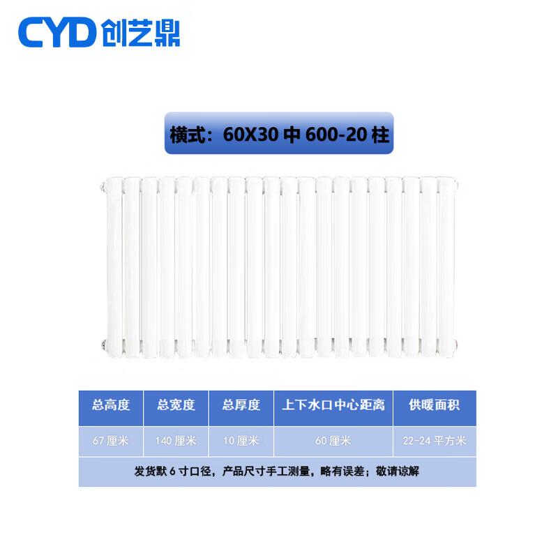 Chuang Yi Ding Steel 6030 Two-Column Hot Water Radiator