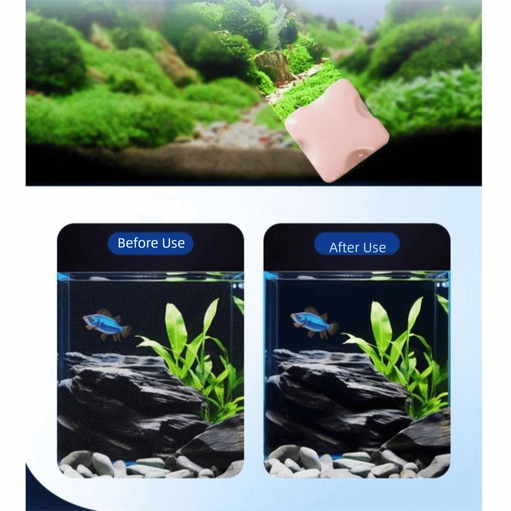 Mini Magnetic Aquarium Cleaner Efficient No Scratch Fish Tank Cleaner Double-Sided Aquarium Cleaning Brush Glass Cleaning