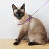 Anti-shock Pet Traction Rope Adjustable Pet Leash Pet Bone Printing Harness Leash  Walking Training