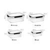 Clear Pet Crisper Box Leak-Proof Food Storage Container With Snap Locks & Silicone Seal For Fridge, Fruit, Bento & Meal Prep