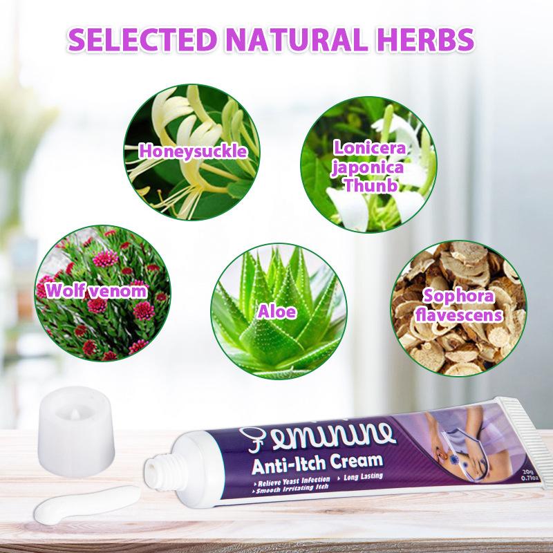 Female Vaginal Odor Care Cream, Itchy Cream, Dry Itching on The Inner Thighs, Helping Women Regain Dryness and A Relaxed Feeling