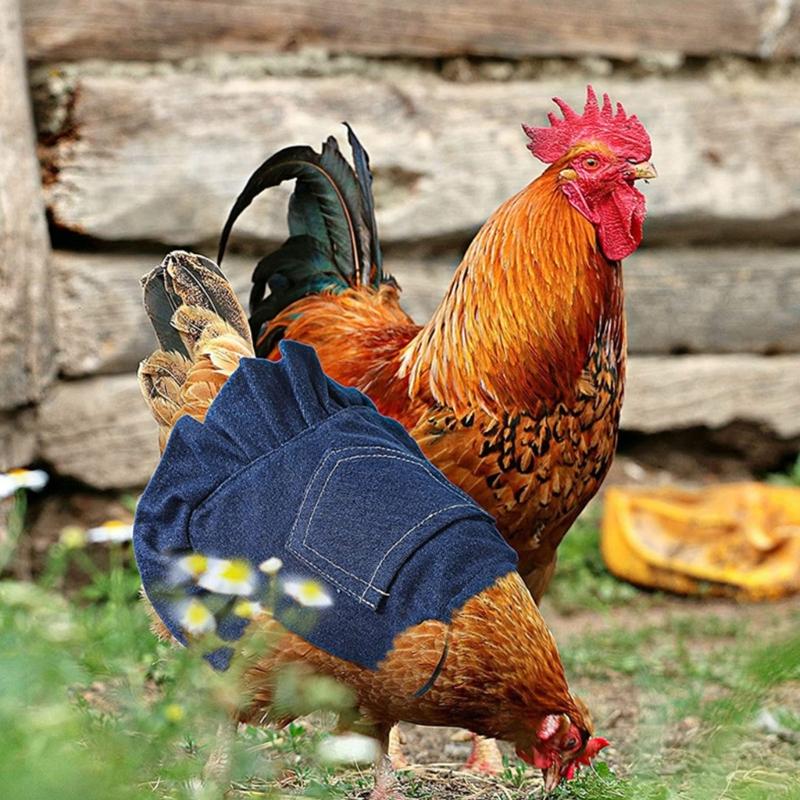 Chicken Saddles Vest for Back Wing Protections Tear Resistant Poultry Apron for Farm Coops Flocks Everyday Wear