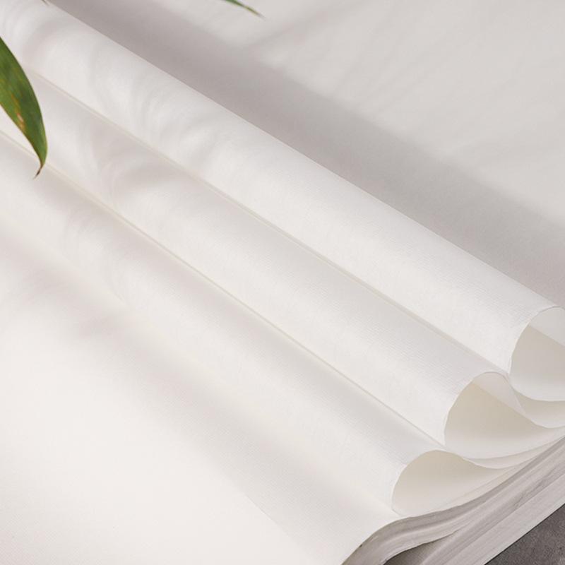 Halbgekocht Mica Gekocht Xuan Übung Zeichenpapier