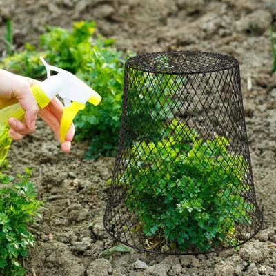 Cubiertas de Campana para Plantas 5 Piezas/set Jaula de Protección para Frutas y Verduras Evita que Conejos Ardillas Gallinas Pájaros se Acerquen