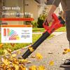 Industrial-Grade Wireless Hair Dryer & High-Power Blower: Snow, Storm, and Dust.