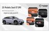 Compatible with Geely 25 Model Sea Lion 07 DMI: Lower Storage & Glasses Box for Center Console.