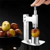 Manual Stainless Steel Red Dates Corer Press Type Cherry Pitter Olive Core Remover  Dessert