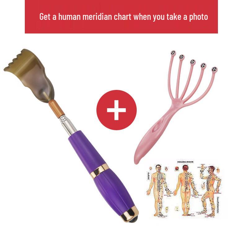 

Magnetic Bead Acupressure Back Scratcher