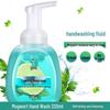 Liushen Foaming Hand Wash - Wormwood & Lime