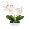 Fake Phalaenopsis Flower Bonsai Lifelike Unique Portable Real Touch Flower for Party