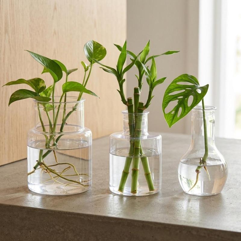 Desktop Hydroponic Vase Home Decorative Plant Cultivation Bottles Office Green Plant Rooting Container Flower Arrangement Vase