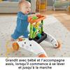 Chariot à pousser - Fisher-Price - HJY73 - Trotteur interactif - 3 modes de jeu - 50+ chansons et sons
