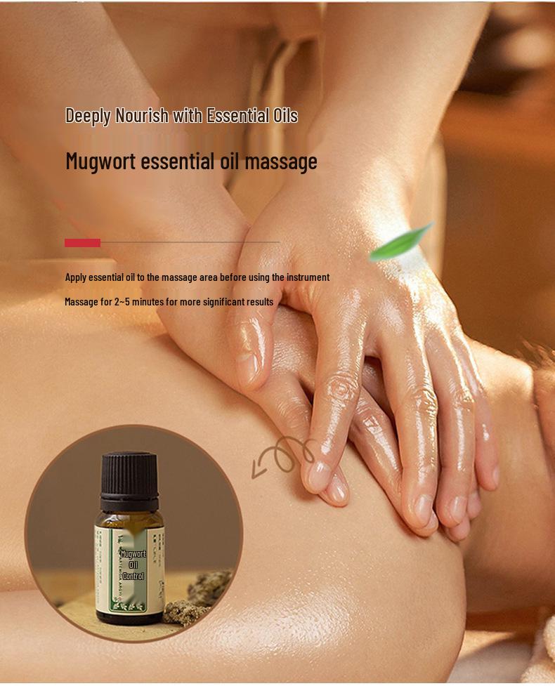 Rechargeable Bianstone Moxibustion Device for Gua Sha and Hot Compress - Portable Third-Generation Massage Tool
