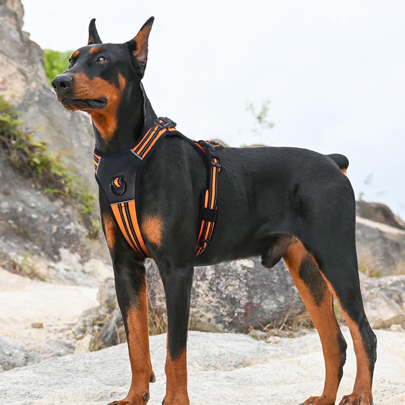 Reflective Pet Dog Vest Harness for Medium Large Dogs Chest Strap Adjustable Labrador French Bulldog Collar Harnesses Durable