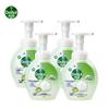 Lime Scent Foaming Hand Wash