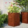 Planters 2 Pcs Hexagonal 46 X 40 X 45 Cm Weatherproof Steel