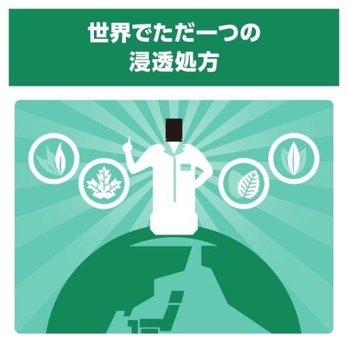 Bulk Purchase: Medicated Listerine Fresh Mint, 1000ml X 4