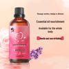 Xiuzheng Lavender Aromatic Massage Oil