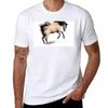 Buckskin Horse Bucking T-Shirt Oversized Anime Clothes T Shirt Men
