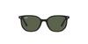 Sunglasses ELLIOT RJ9097S JR [Ray-Ban]