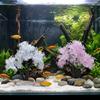 Realistic Aquarium Cherry Blossom Plastic Landscape Tree Fish Tank Ornament  Pet Accessories