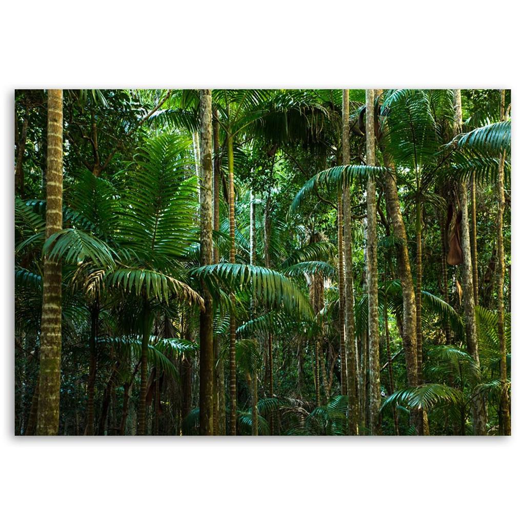 Canvas Print, Tropical Forest Green Palms