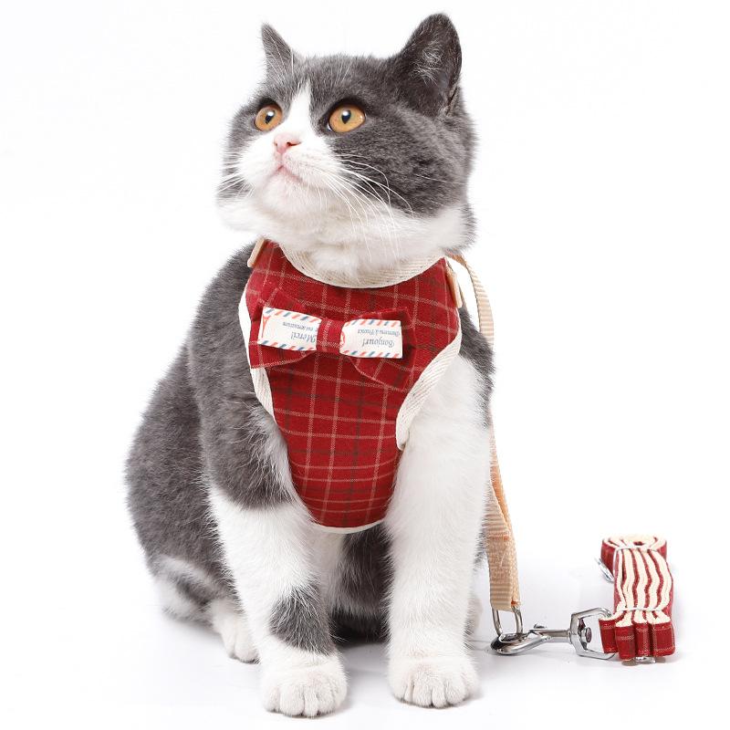 Z Pet Chest Strap Leather Amoy Traction Rope I-shaped Strap Bow Korean Version Cat Supplies Cat Traction