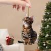 3pcs 2D Flat Cat Acrylic Pendant Hanging Ornament Realistic Animal Rearview Mirror Hangings Car Interior Decor Home Party Gifts