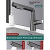Premium Brass Pull-Out Basin Faucet Liftable  Rotatable Spout Mixer Tap With Dual Spray Options  Cold Water Control
