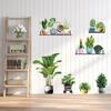 Potted Green Plant Wall Sticker Turtle Back Bamboo Leaf Decor for Restaurant Living Room Balcony Glass Door Bathroom Vinyl Adhesive Decal
