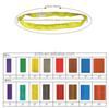 Premium High Strength 1Ton Crane Polyester Material Flat Lifting Webbing Sling for Logistics Hoisting Factory Cargo Lifting