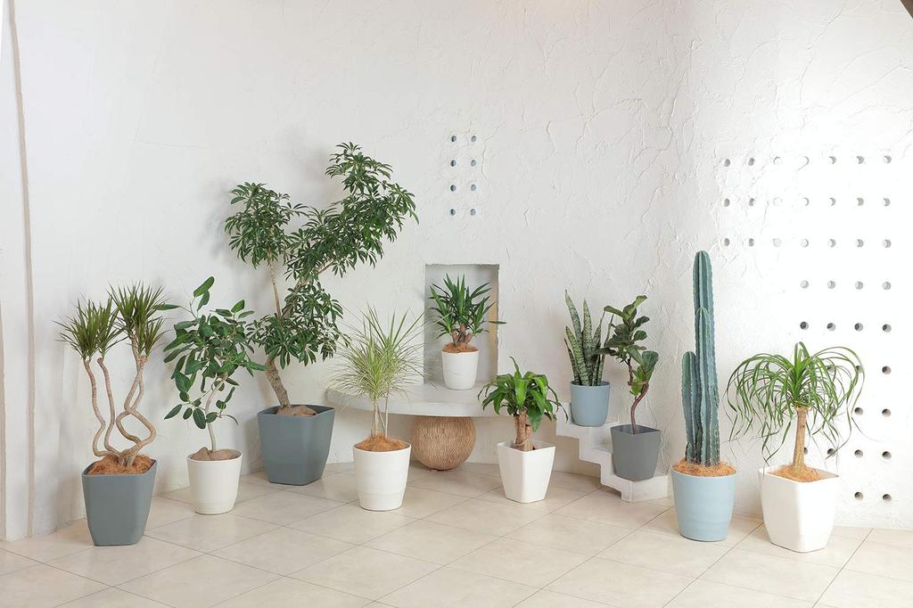 Appleware Plastic Pot Atelier Soil Inner Pot Polyester Made In Japan Pot, Pot, Cover, Pot, 37-inch, White, Capacity 23L, Depth 37cm, Width 37cm,