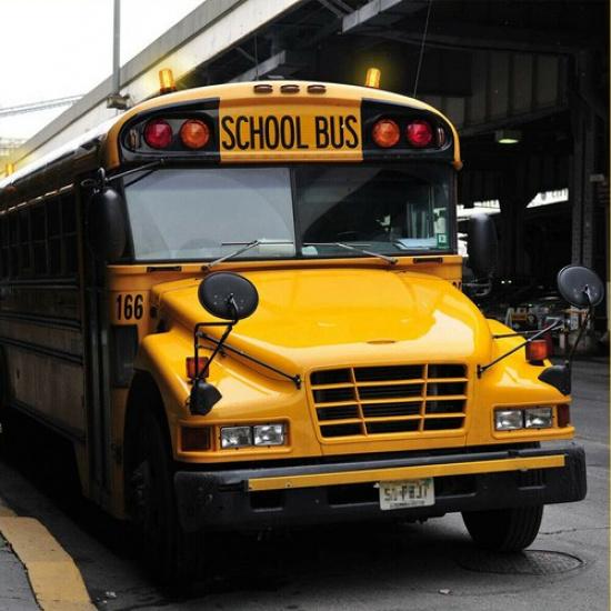 30 LED Strobe Beacon Forklift Light Truck ATV Rooftop Amber Emergency Warning 2X