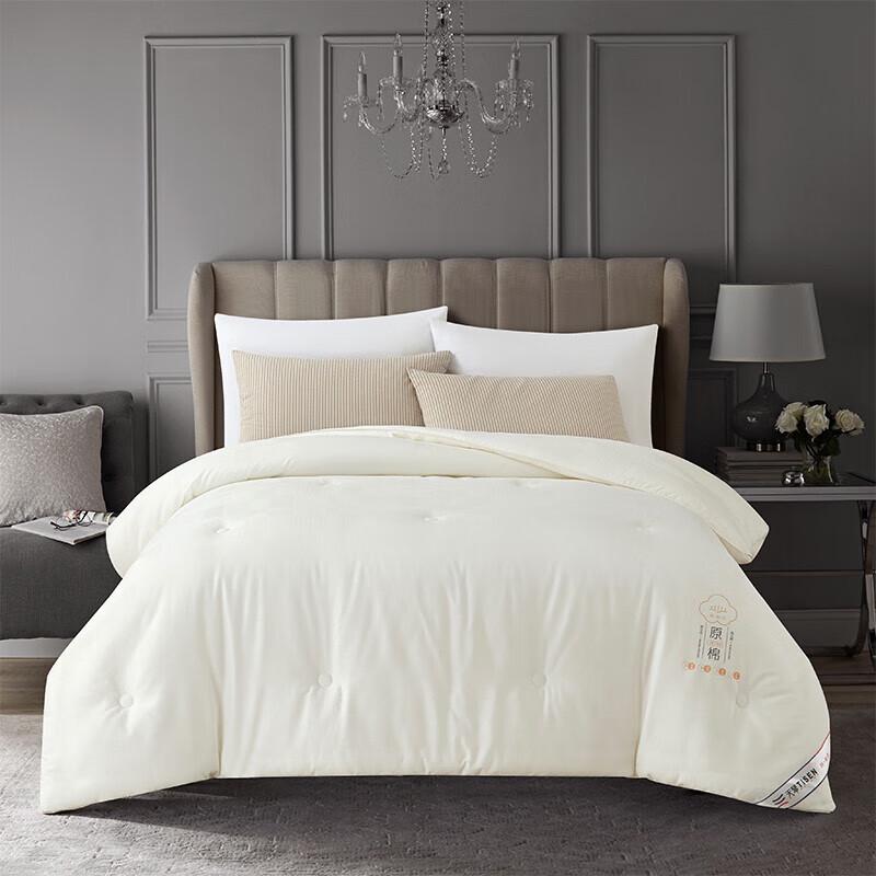 

Tianqin Rococo Royal Milk Protein & 7-Hole Fiber Quilt