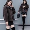 Women's Winter Plus Size Short Jacket Loose Casual Warm Plush Jacket Button Stand-up Collar Jacket